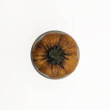 Load image into Gallery viewer, Poison Pumpkin Seeds Magic Potion