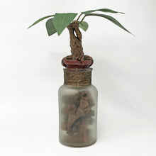 Load image into Gallery viewer, Mandrake Root Magic Potion